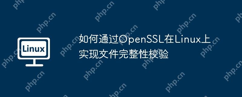 如何通过OpenSSL在Linux上实现文件完整性校验