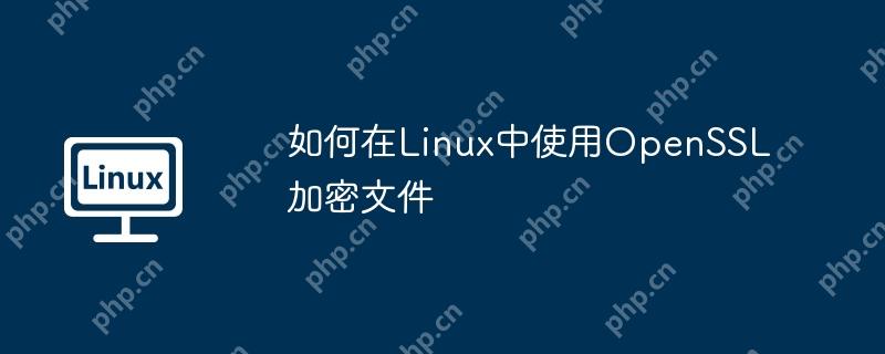 如何在Linux中使用OpenSSL加密文件