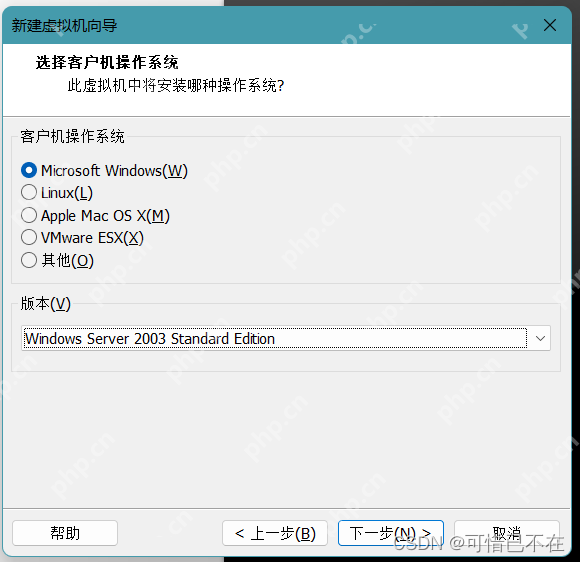安装 Windows Server 2003