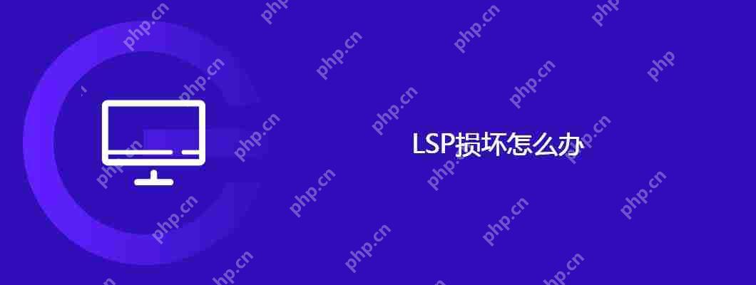 lsp损坏怎么办