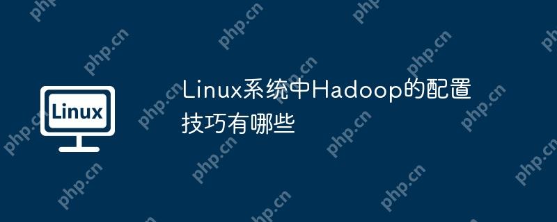 Linux系统中Hadoop的配置技巧有哪些
