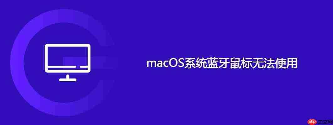 macOS系统蓝牙鼠标无法使用