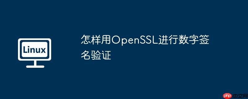怎样用OpenSSL进行数字签名验证