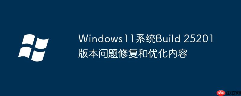 Windows11系统Build 25201版本问题修复和优化内容