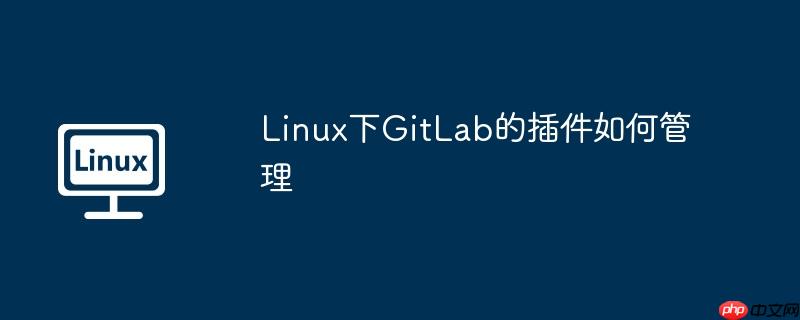 Linux下GitLab的插件如何管理