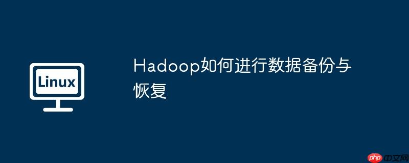 Hadoop如何进行数据备份与恢复
