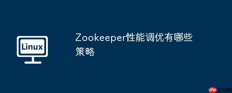 Zookeeper性能调优有哪些策略