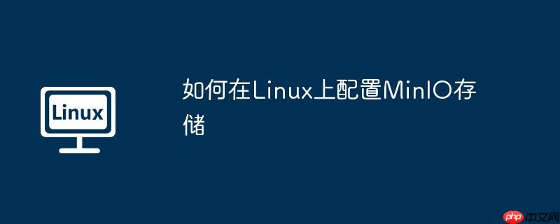 如何在Linux上配置MinIO存储
