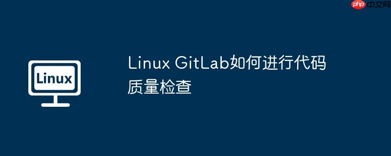 Linux GitLab如何进行代码质量检查