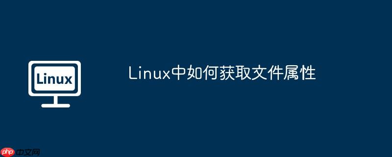 Linux中如何获取文件属性