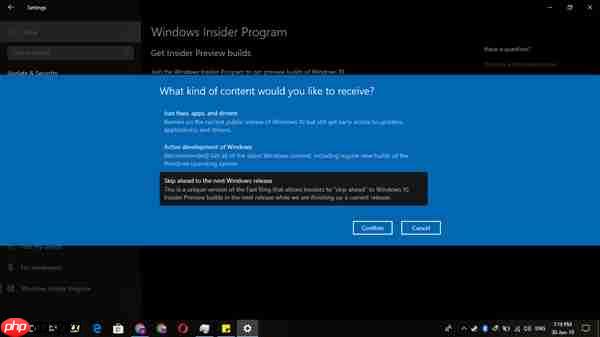 Windows 10 Skip Ahead通道重新开放：首个19H2预览版近了