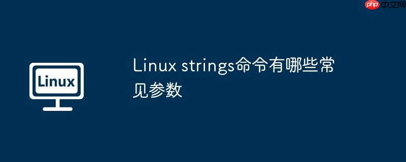 Linux strings命令有哪些常见参数