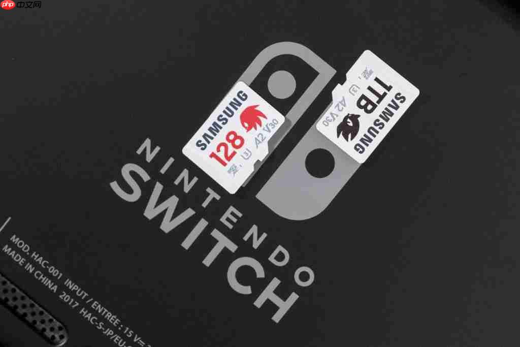  索尼克主题存储卡：游戏场景秒加载解锁，Switch 游戏新世界 
