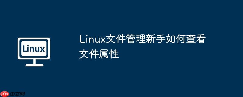Linux文件管理新手如何查看文件属性