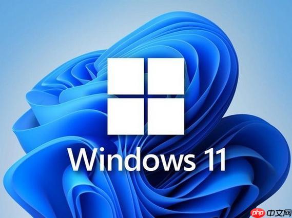 win11文件资源管理器卡死怎么办 win11文件资源管理器卡死处理办法