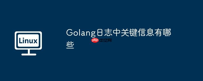 Golang日志中关键信息有哪些
