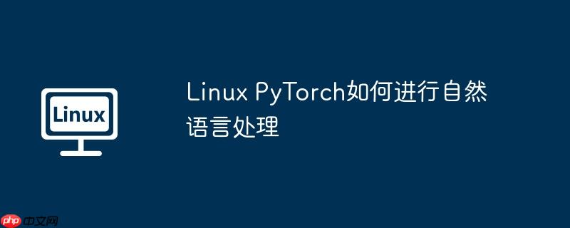 Linux PyTorch如何进行自然语言处理