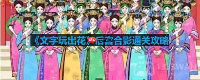 文字玩出花后宫合影怎么过-后宫合影通关攻略
