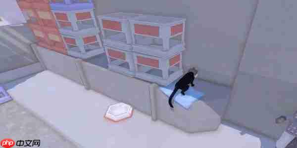 小猫咪大城市饭团帽怎么获得-小猫咪大城市饭团帽获取方法分享