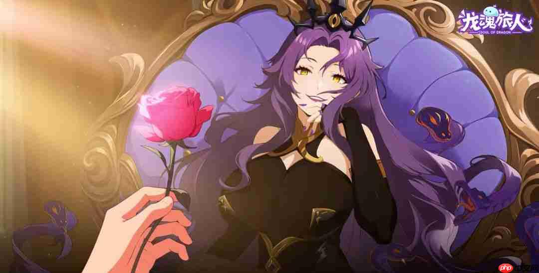 龙魂旅人元素队伍怎么搭配-龙魂旅人元素队伍最佳选择推荐