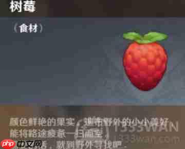 心动小镇树莓位置具体在哪-心动小镇树莓具体位置一览