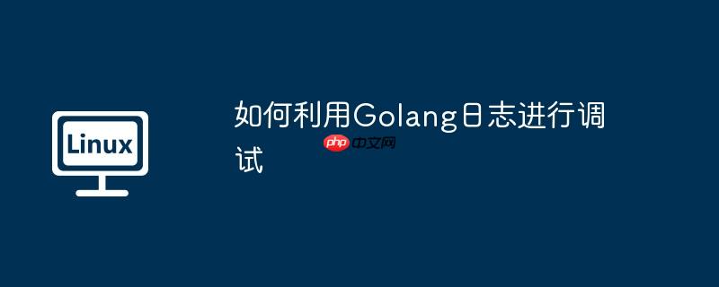 如何利用Golang日志进行调试