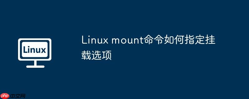 Linux mount命令如何指定挂载选项