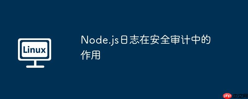 Node.js日志在安全审计中的作用