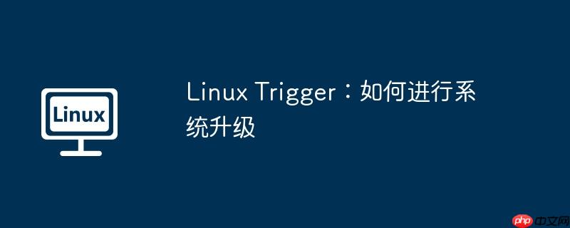 Linux Trigger：如何进行系统升级