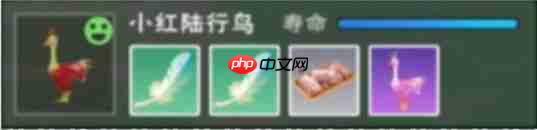 创造与魔法次元兽栏玩法详解