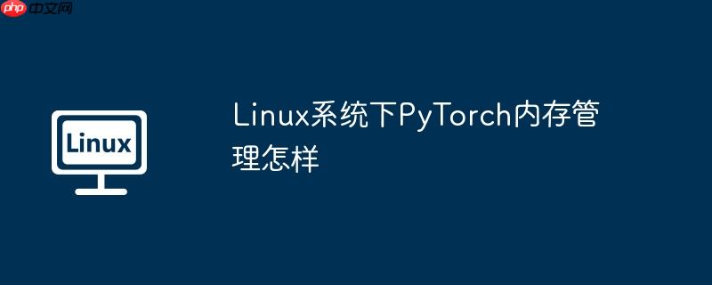 Linux系统下PyTorch内存管理怎样