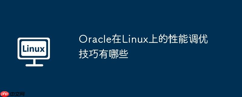 oracle在linux上的性能调优技巧有哪些