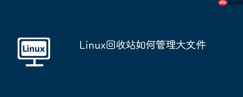 Linux回收站如何管理大文件