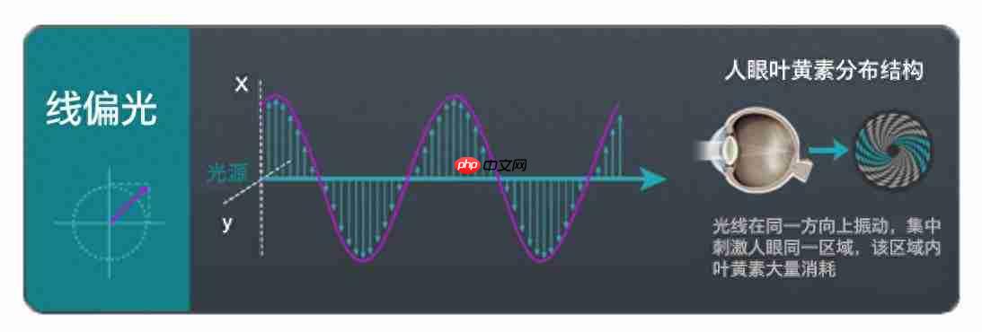 黑科技降临！飞利浦EVNIA舒视蓝4.0圆偏光护眼显示器全球首秀！