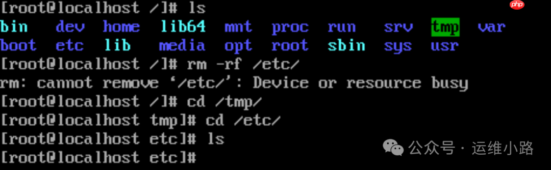 Linux系统-救援模式