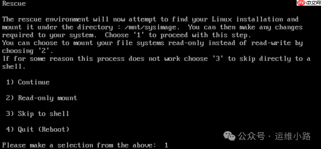 Linux系统-救援模式