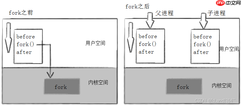 【Linux】进程详解：进程的创建&终止&等待&替换