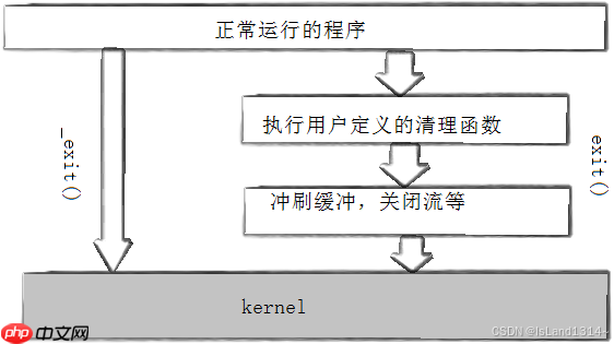 【Linux】进程详解：进程的创建&终止&等待&替换