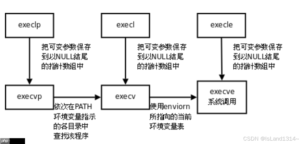 【Linux】进程详解：进程的创建&终止&等待&替换