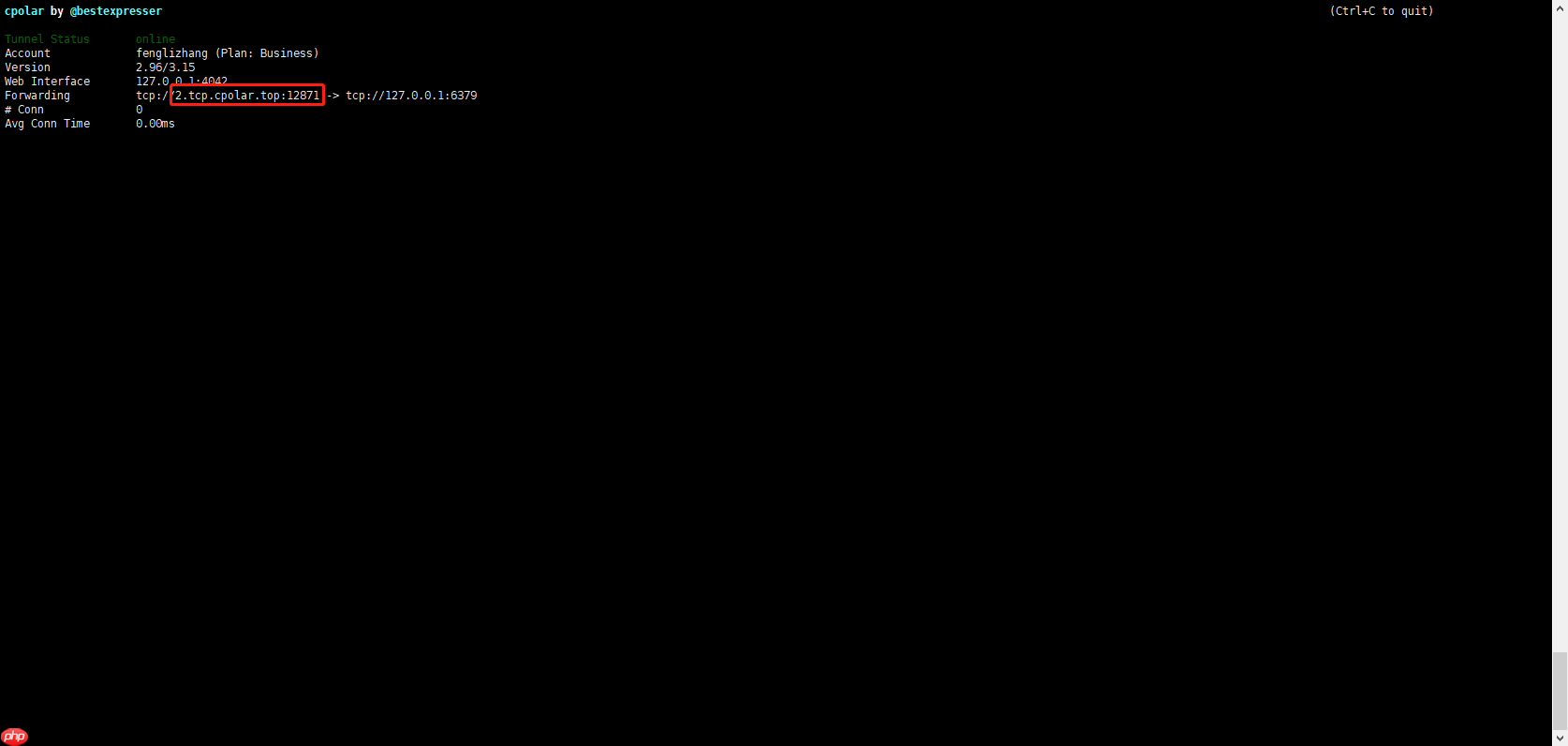 Linux安装Redis数据库,无需公网IP实现远程连接