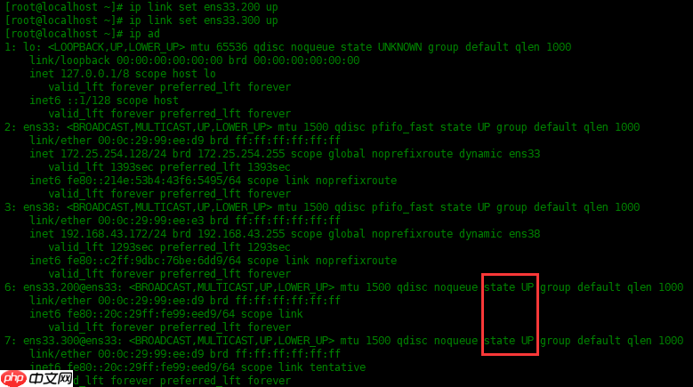冷知识，教你如何在 Linux 上划分VLAN！