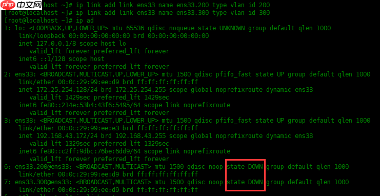 冷知识，教你如何在 Linux 上划分VLAN！