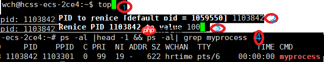 【Linux篇】你敢信？你的代码运行速度竟由这个‘隐形裁判’决定——进程优先级全解码