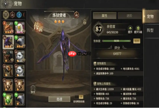 奇迹世界起源集市位置在哪里-奇迹世界起源集市位置一览