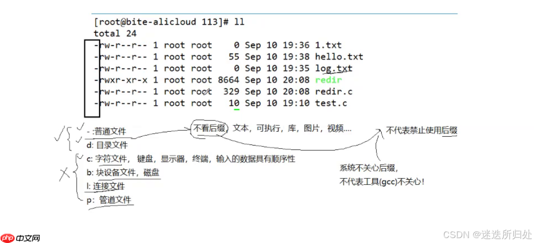Linux下的基本指令