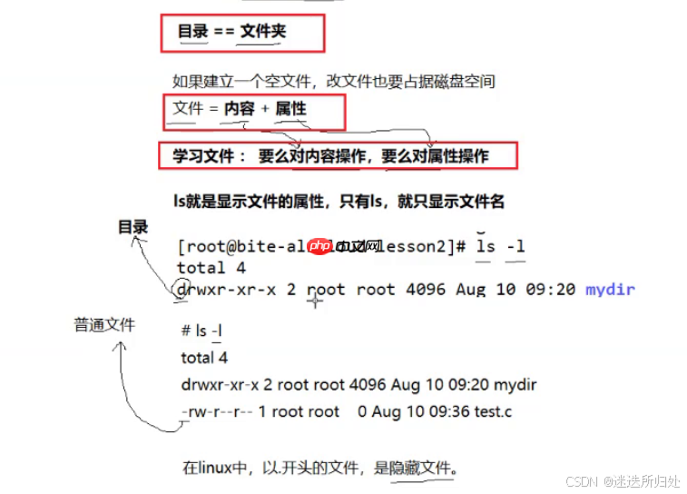 Linux下的基本指令