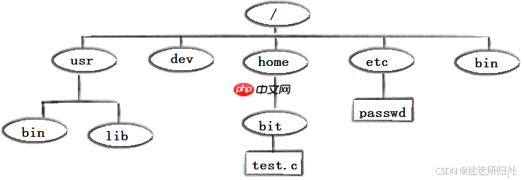 Linux下的基本指令