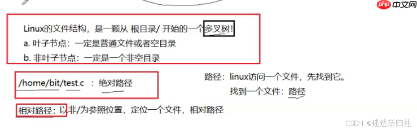 Linux下的基本指令