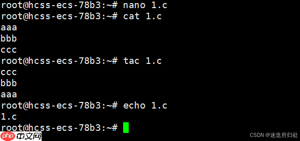Linux下的基本指令