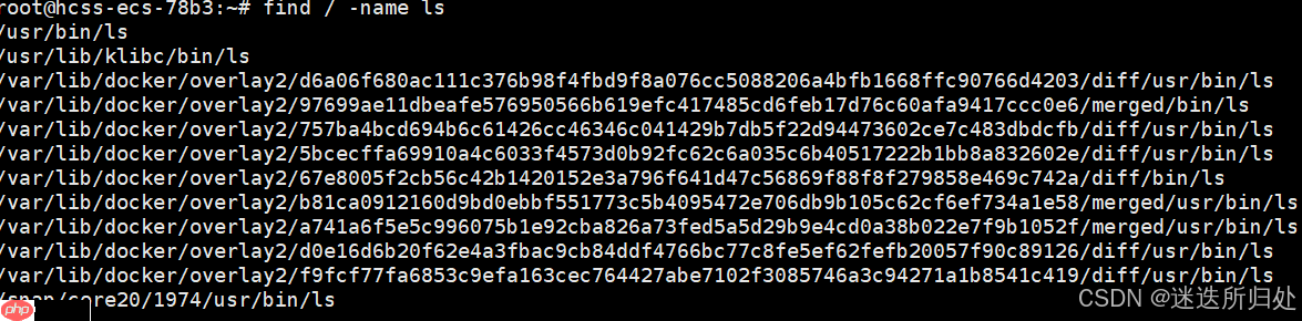 Linux下的基本指令